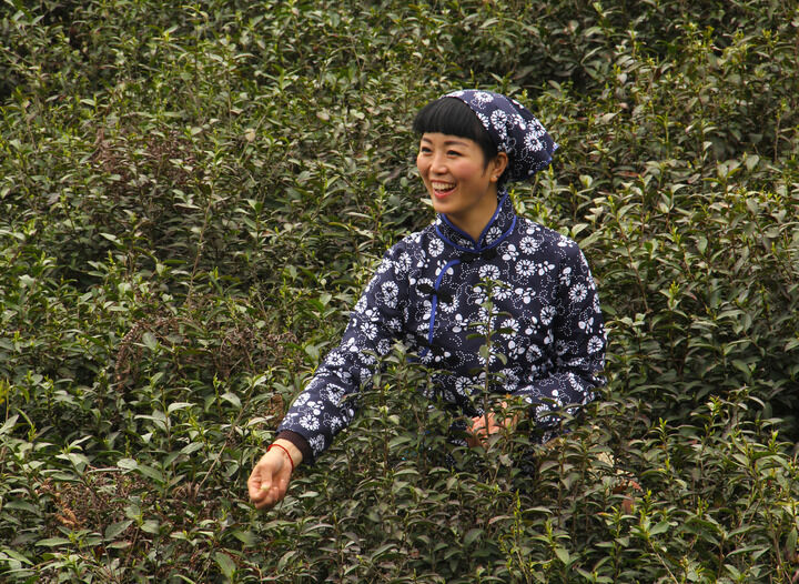 双碟秀直播 幕后